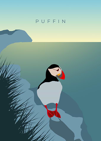 Puffin