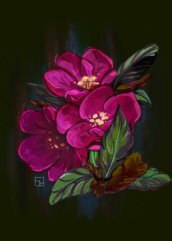 Dreamy Pink Flower