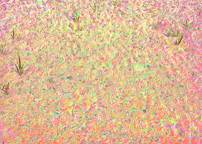 Abstract Ground with Sparse Grass