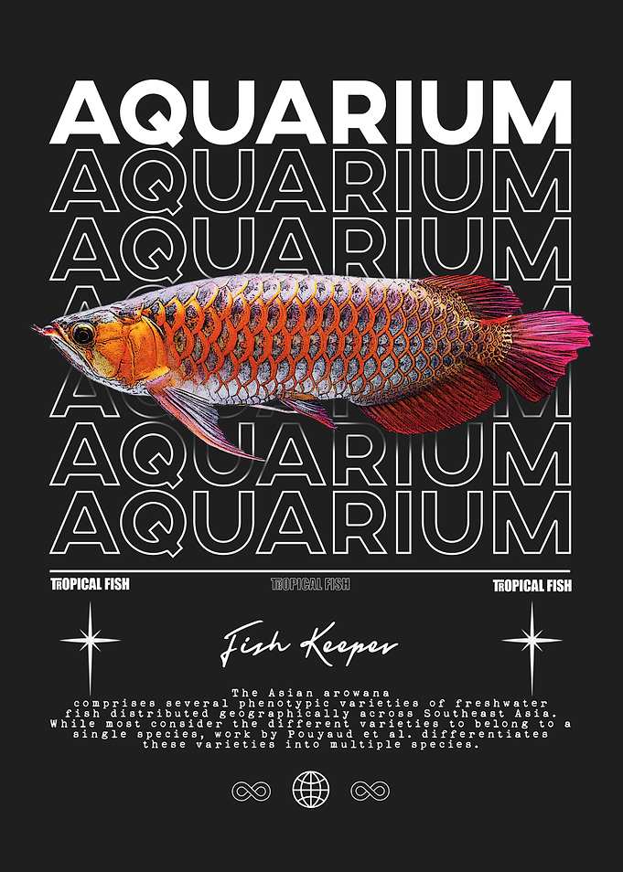 Asian Arowana Fish Aquarium
