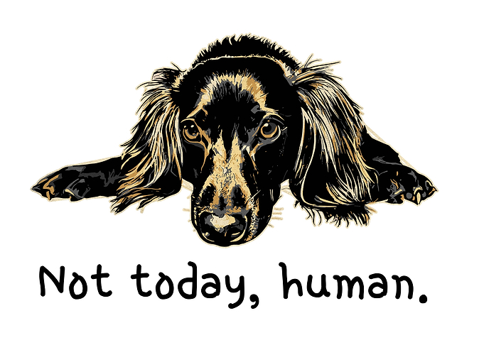 Lazy Dachshund Funny