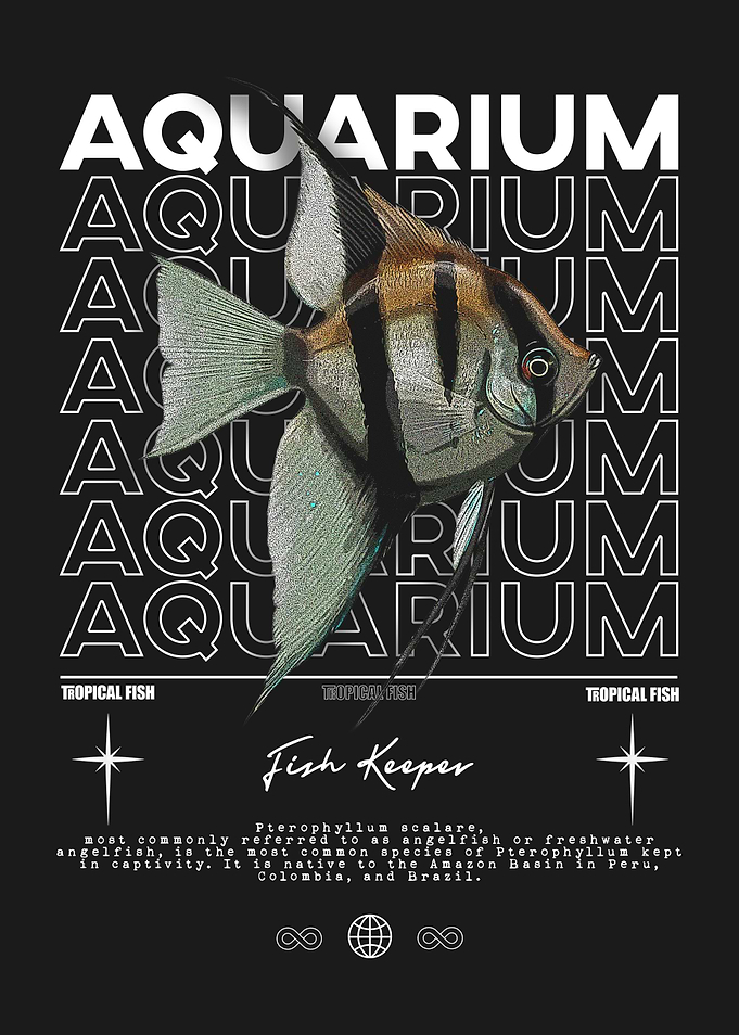 Aquarium Fish Keeper Angelfish