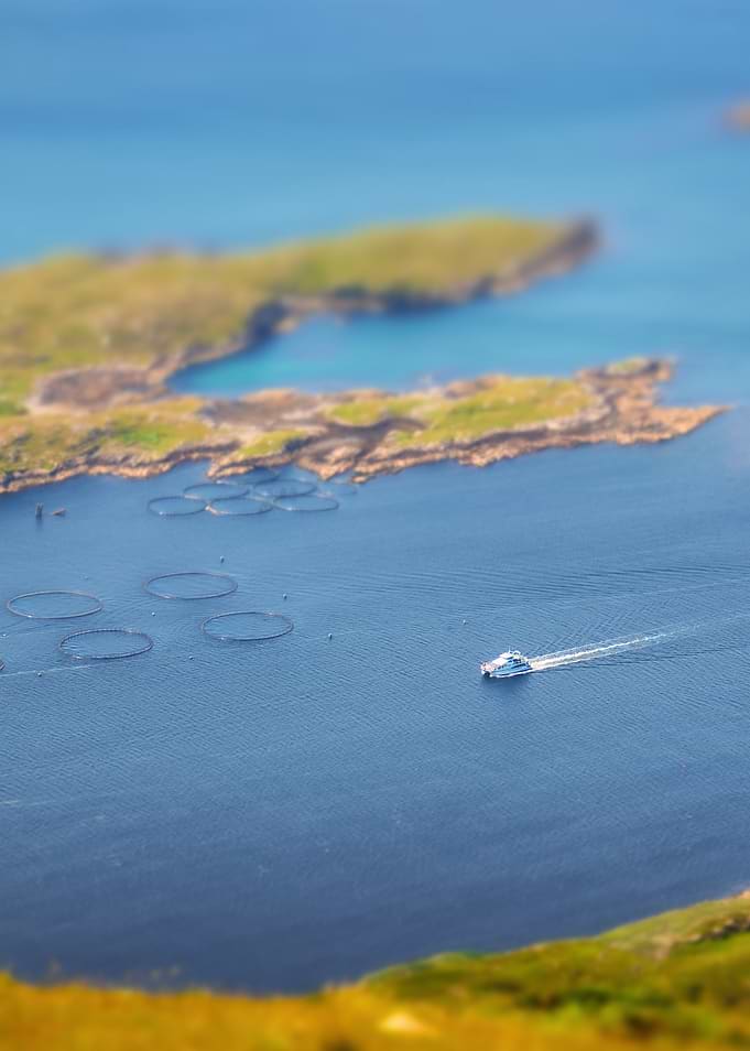 Princess of Connemara boat in the mouth of Killary Harbour