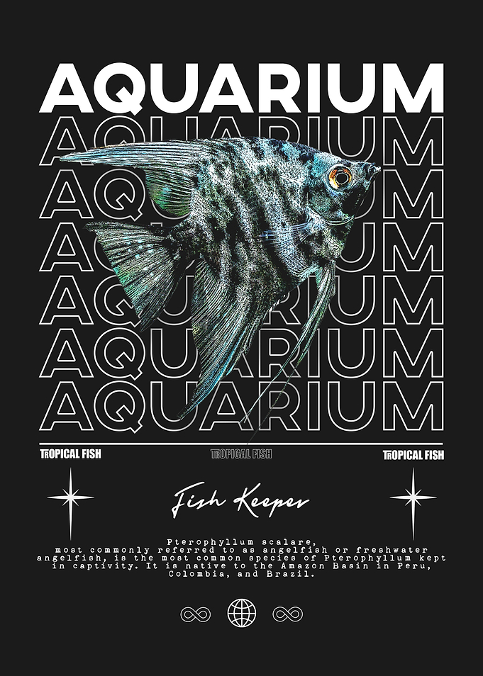 Angelfish Aquarium Fish Keeper