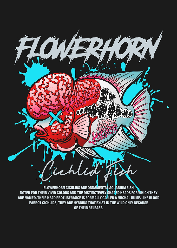 Flowerhorn Cichlid Fish Keeper