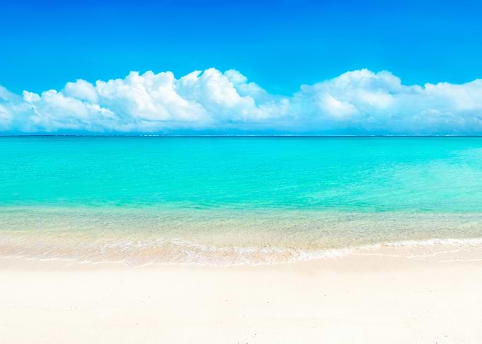 Tropical Beach Paradise