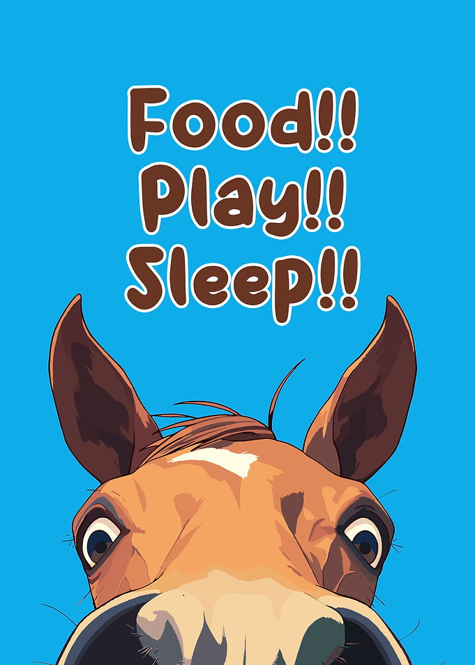Food, Play, Sleep Horse Cartoon