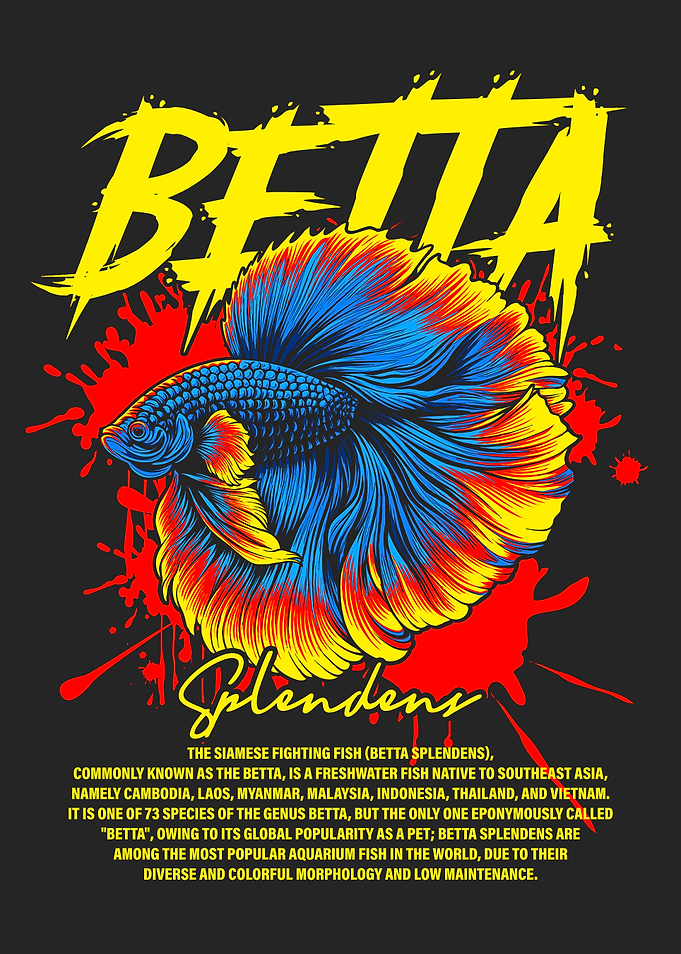 Betta Splendens Tropical Fish Keeper