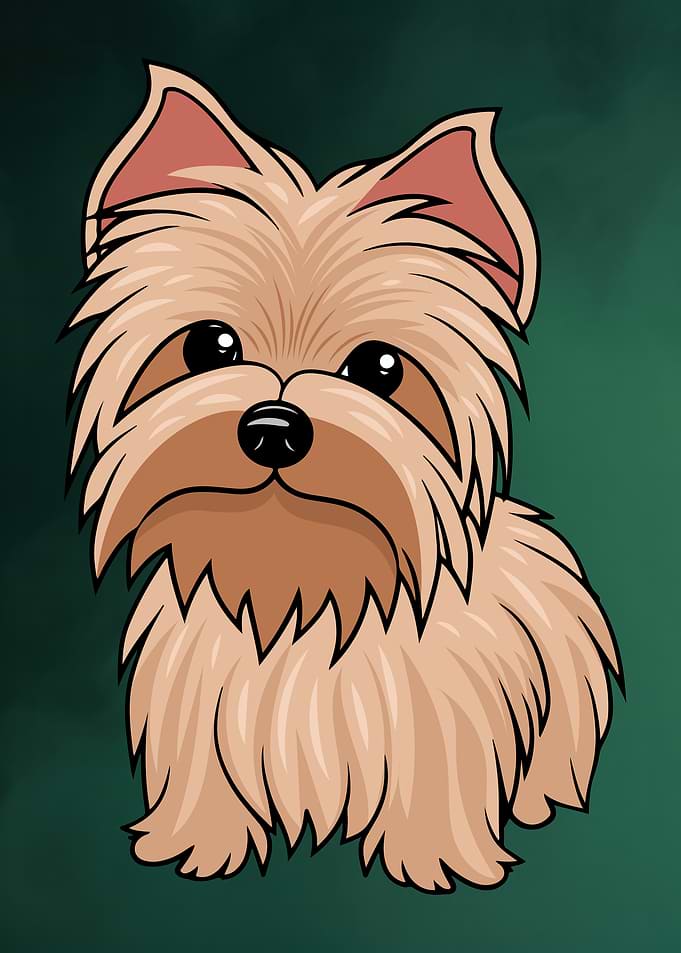 Cartoon Yorkshire Terrier Illustration