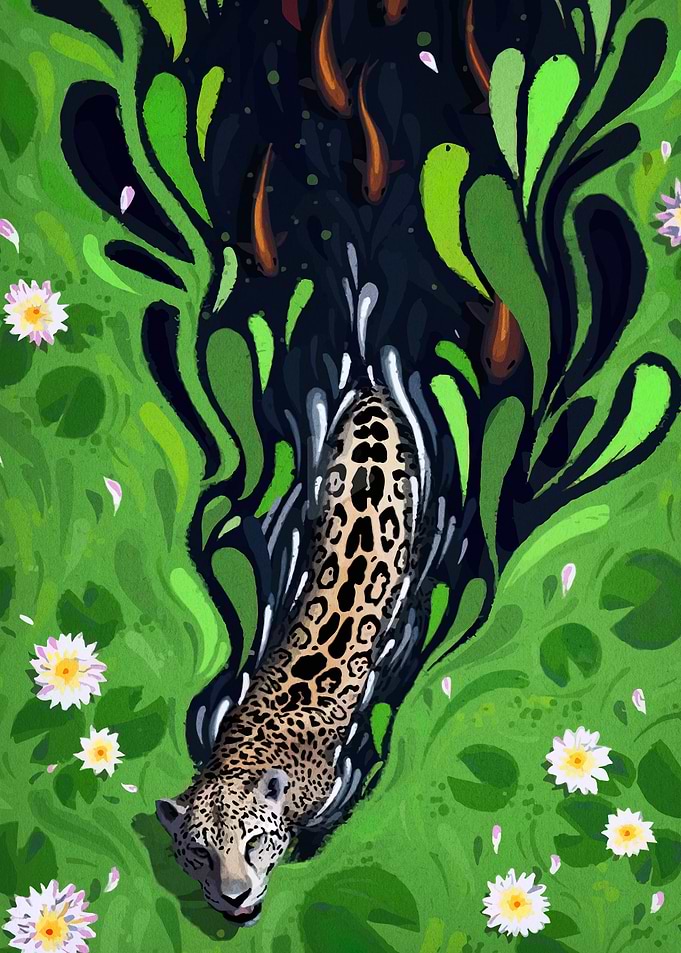 Jaguar in Water with Koi Fish