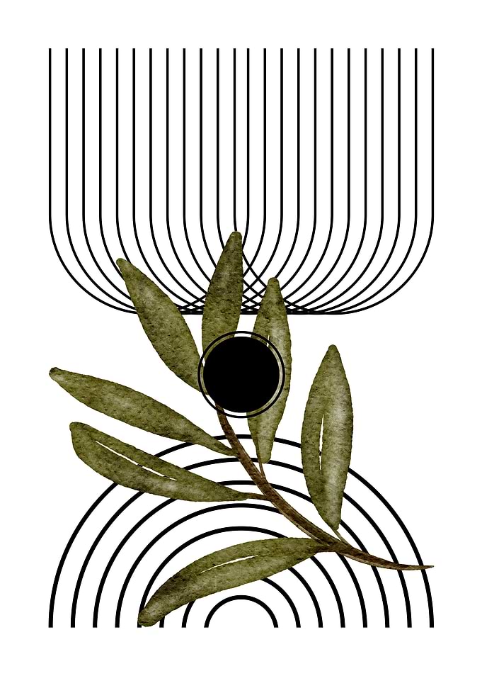 Minimalist Olive Branch Geometric Art