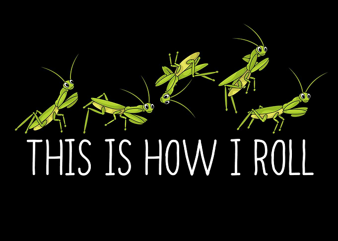 Funny Praying Mantis Lover Kids Insects Praying Mantis