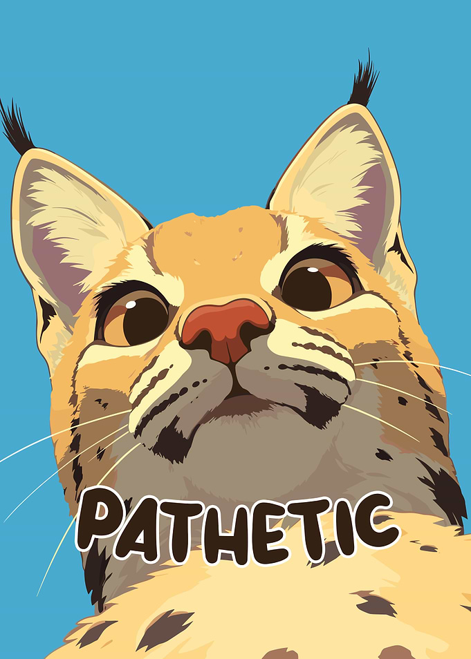 Pathetic Cat Meme