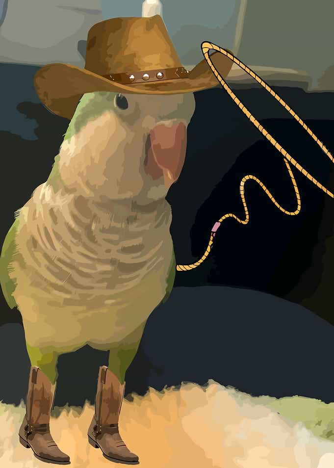Cowboy Parrot with Lasso and Boots