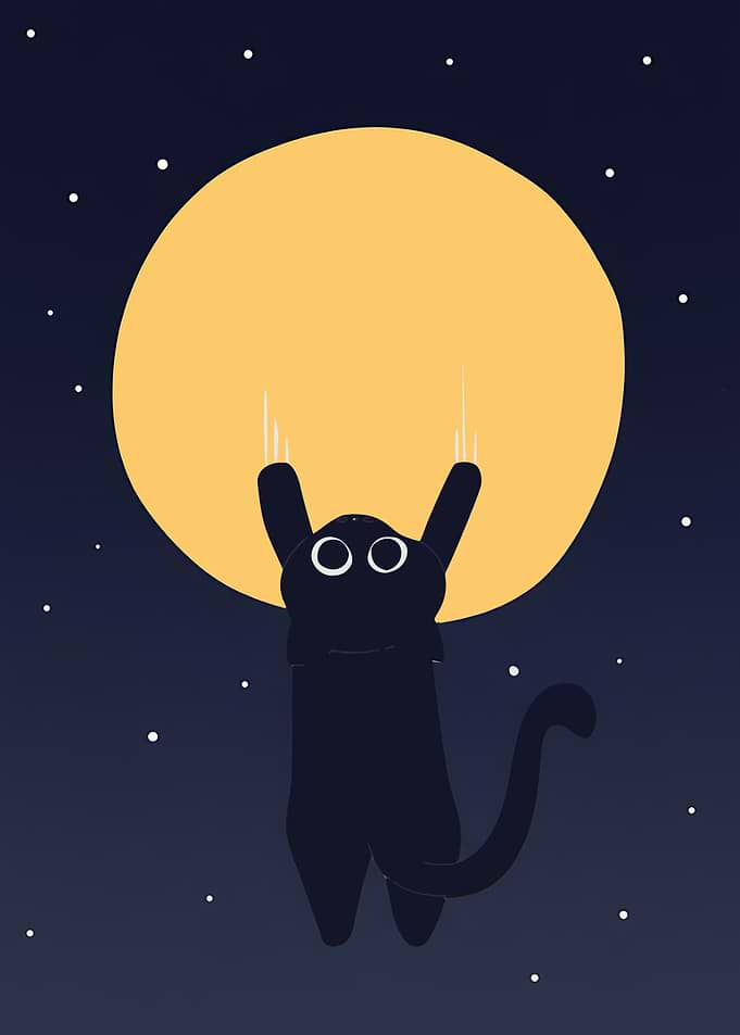 Black Cat Hanging on the Moon
