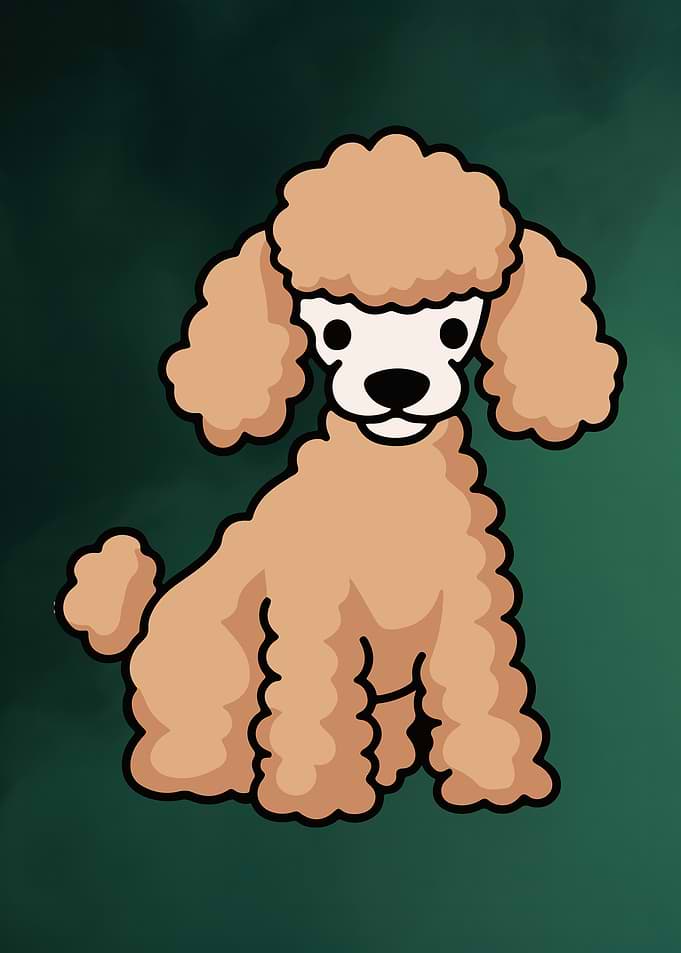 Cartoon Poodle Illustration