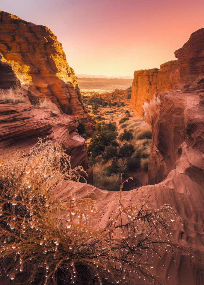 Desert Canyon Landscape at Sunset