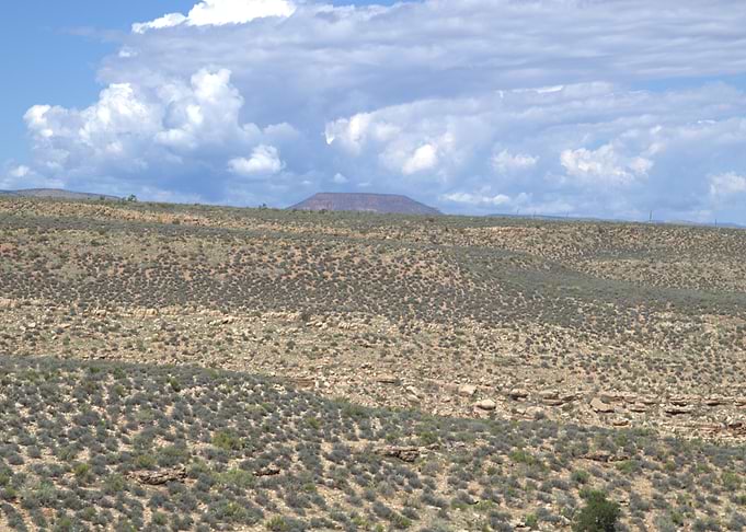 Desert Landscape with Distant Mountain