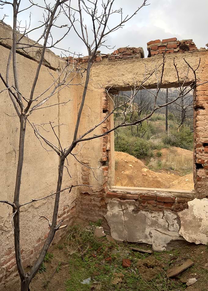 Derelict Building Interior with Nature View