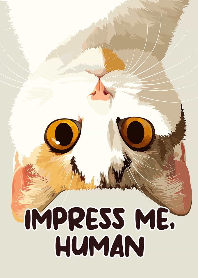 Impress Me, Human - Upside Down Cat