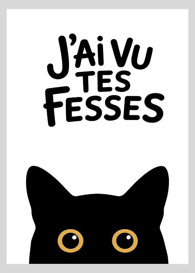 Funny Cat Bathroom Poster - J'ai Vu Tes Fesses Cat Poster