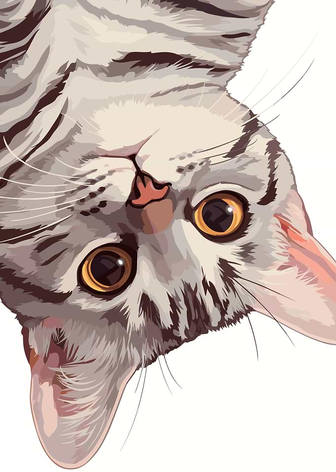 Upside-Down Striped Cat Portrait