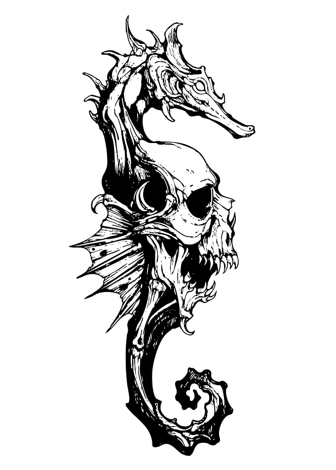 Seahorse Skull Black and White Art