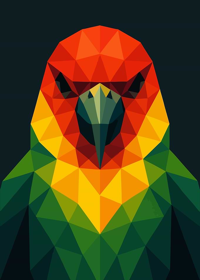 Geometric Parrot Portrait