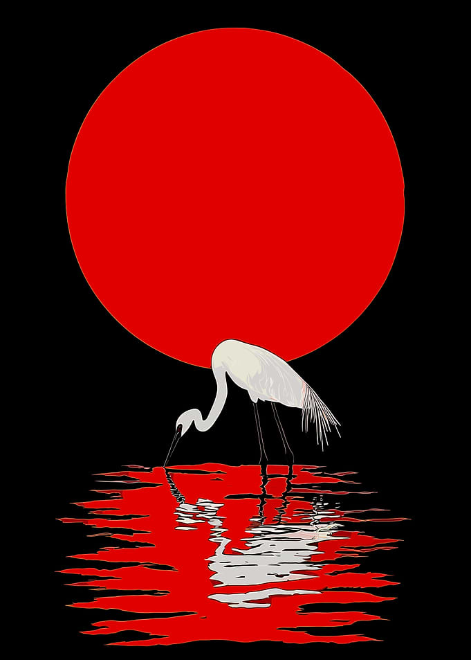 Crane Silhouette with Red Sun Reflection