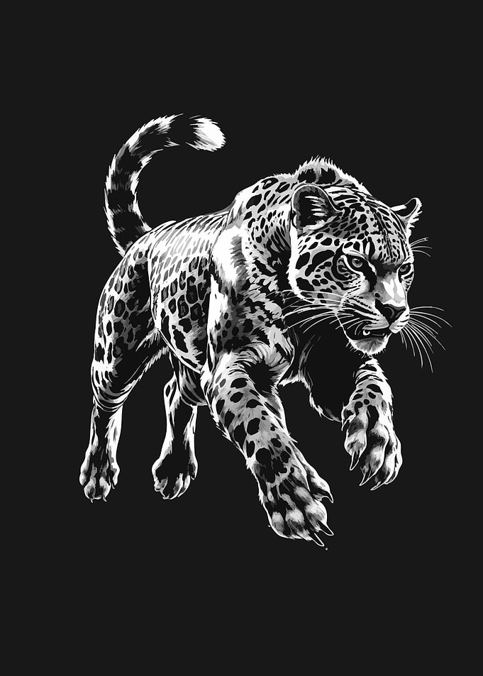 Leopard in Black and White