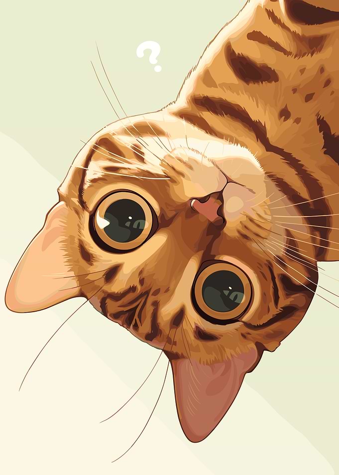 Curious Cartoon Cat Upside Down