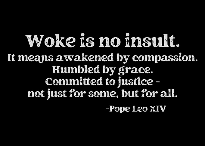 Woke is no insult quote