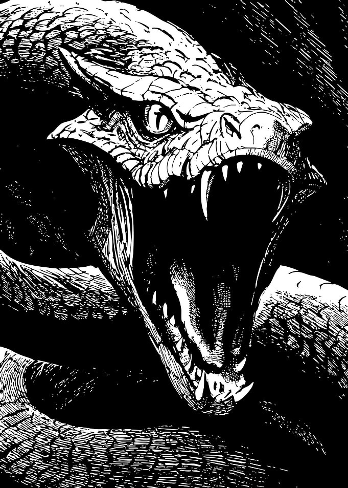 Aggressive Snake Illustration