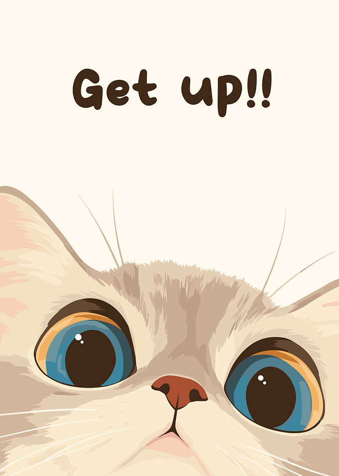 Get up cat