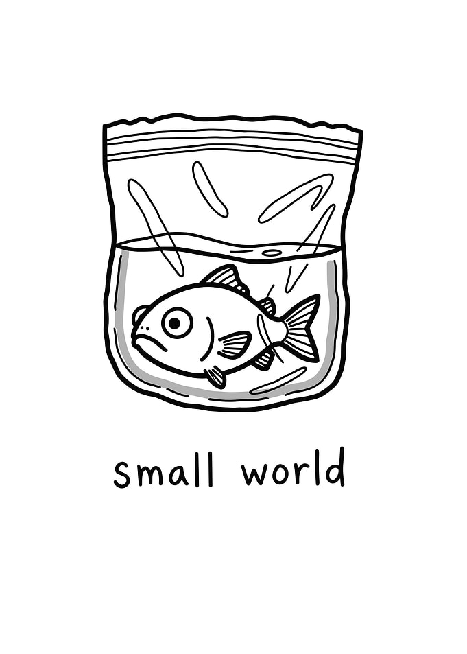 Fish in a bag: Small World