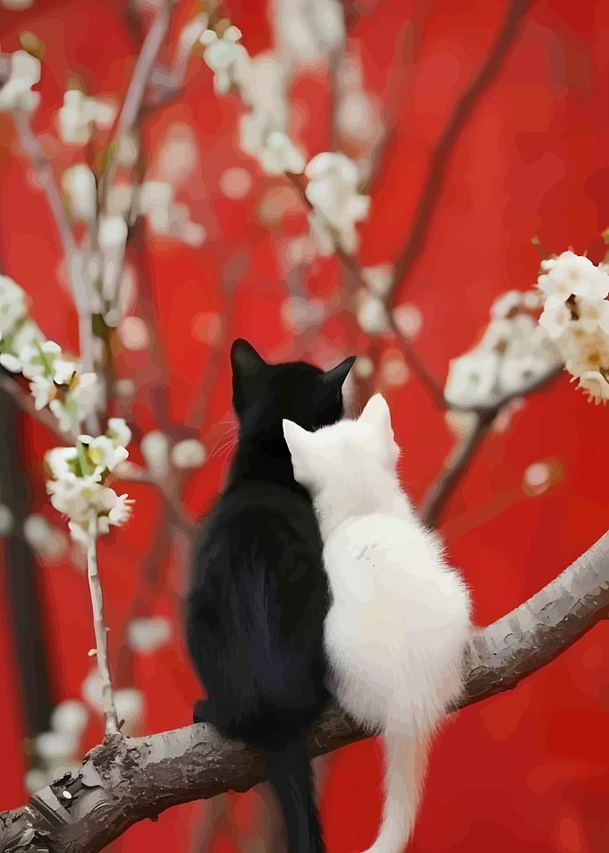 Black and White Cats on Branch