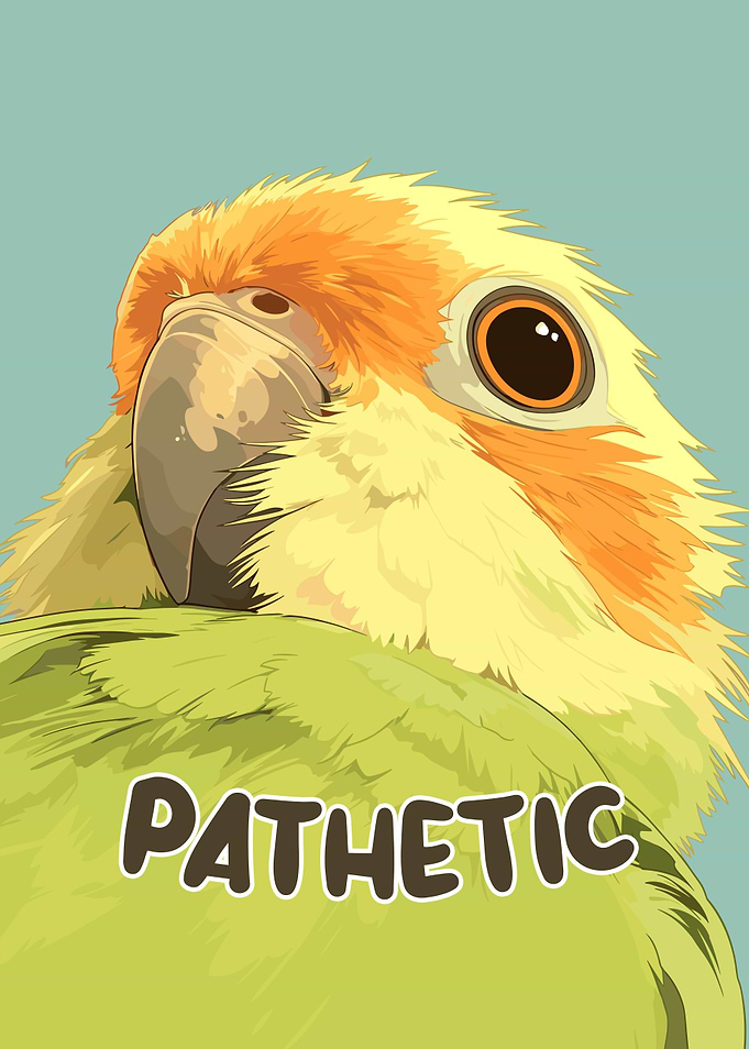 Pathetic Parrot Illustration
