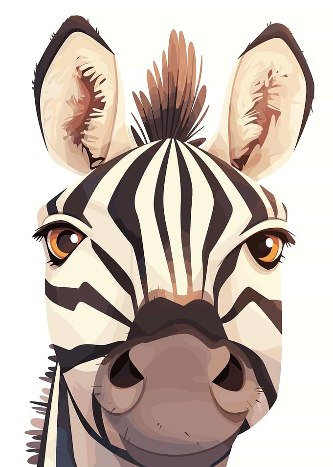 Zebra Portrait Illustration