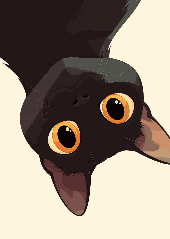 Upside-Down Black Cat with Orange Eyes
