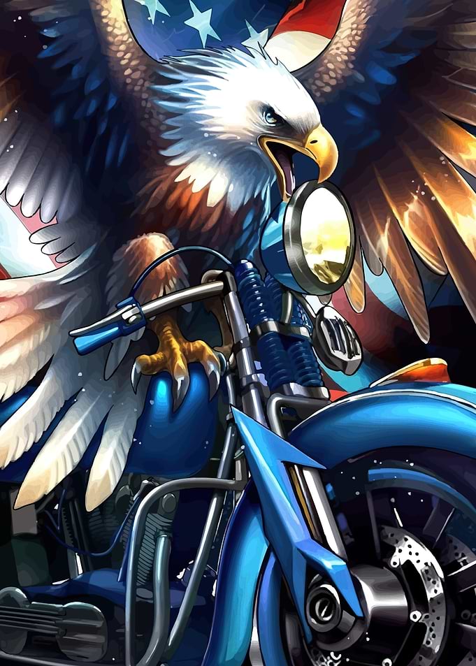 Eagle Motorcycle American Flag