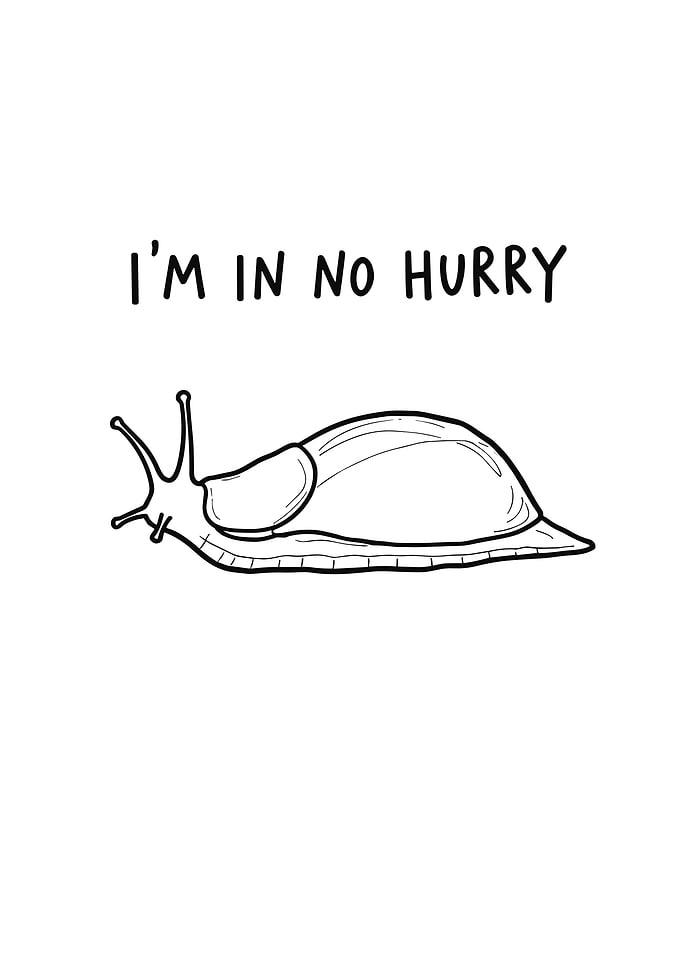 Snail: I'm in no hurry