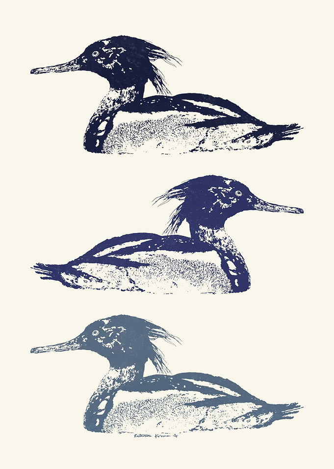 MERGUS