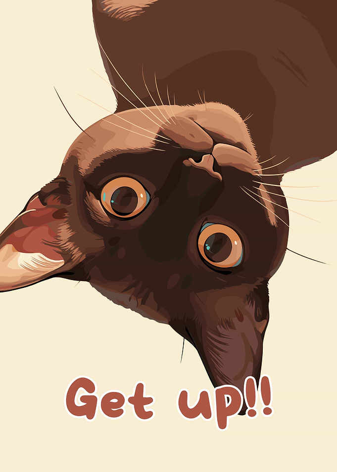 Upside-Down Cat Demands Attention