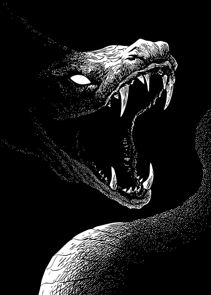 Monochrome Snake with Open Mouth
