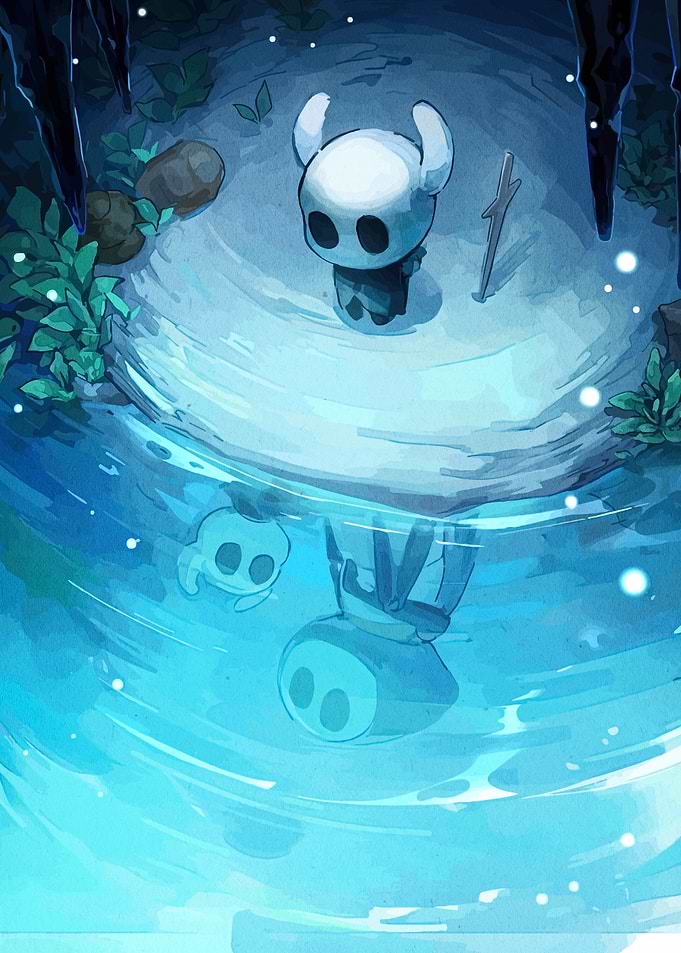 Hollow Knight Reflection