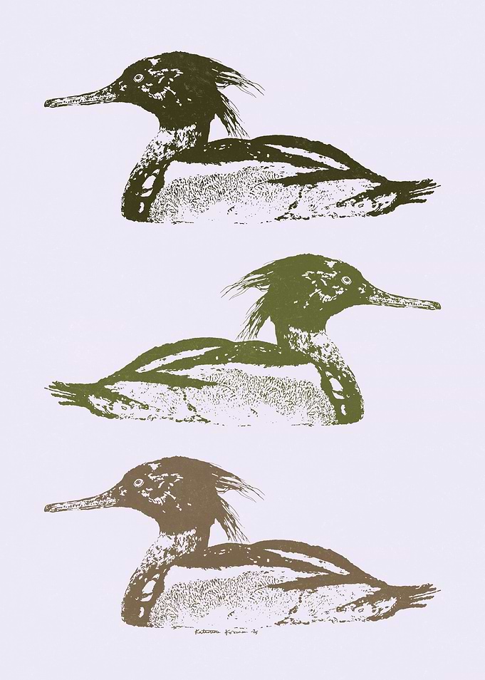 MERGUS