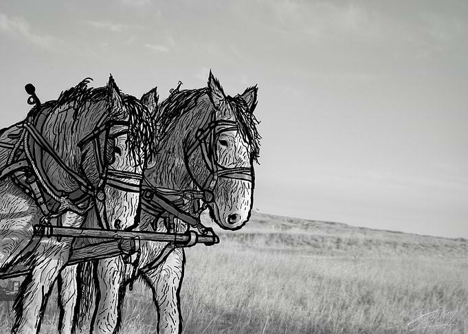 Two Horses in Black and White