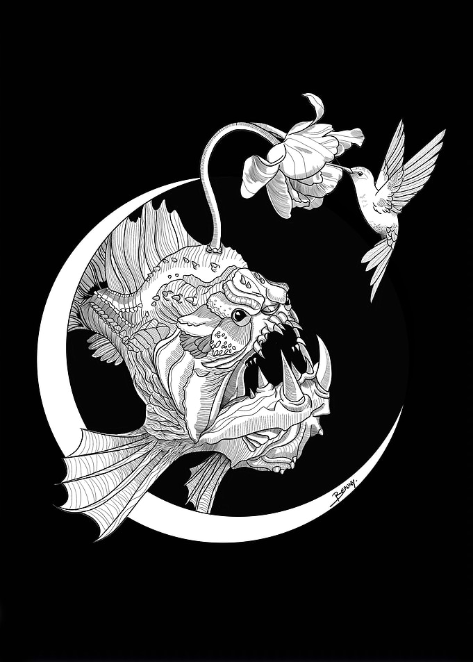 Anglerfish, Hummingbird, and Flower Illustration