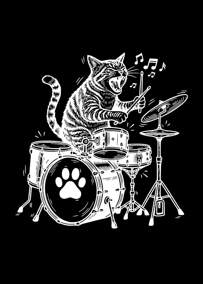 Funny Drumming Cat Music