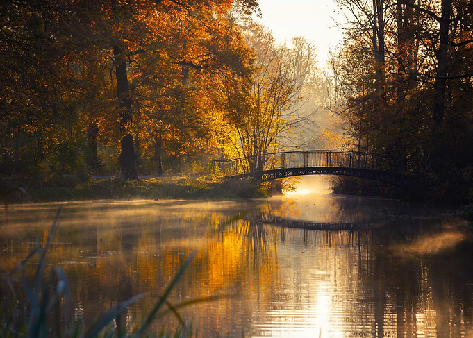 Autumnal Bridge Over Misty Lake